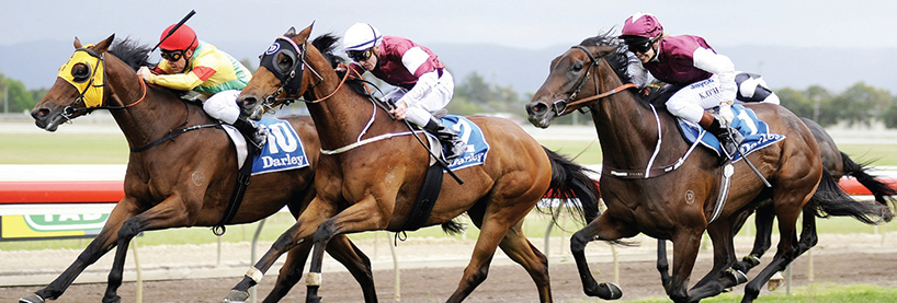Australian Horse Racing Tips Thursday July 30th