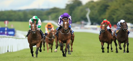 Cox Plate Betting Tips