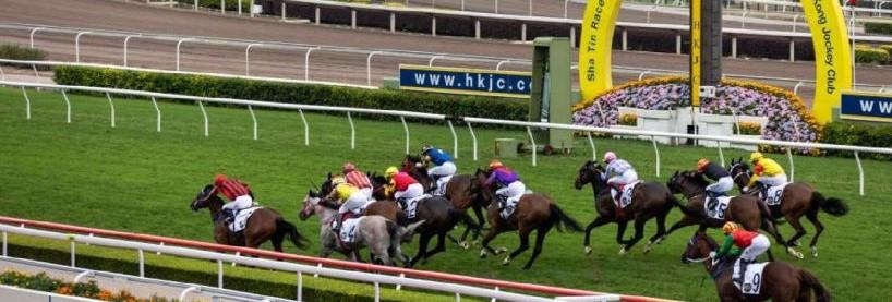 Sha Tin Betting Tips