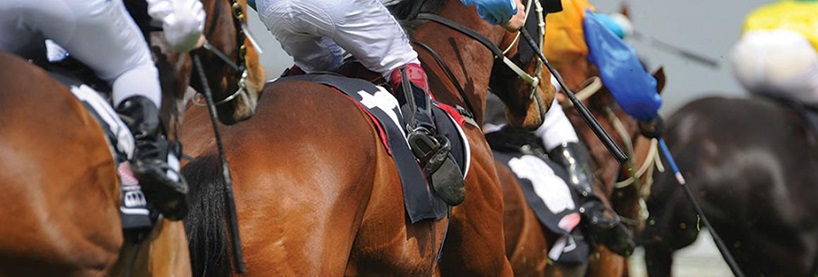 Horse Racing Sites