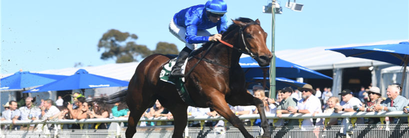 Rosehill Racing Tips