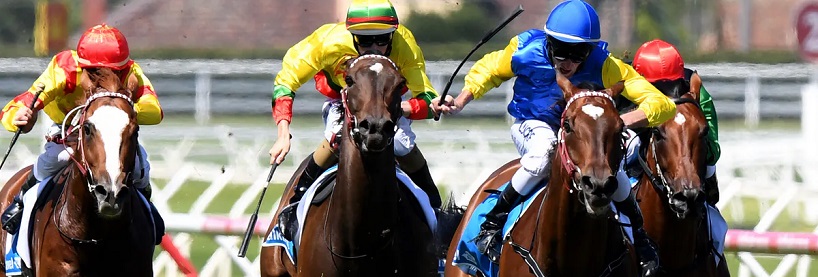Horse Racing Tips