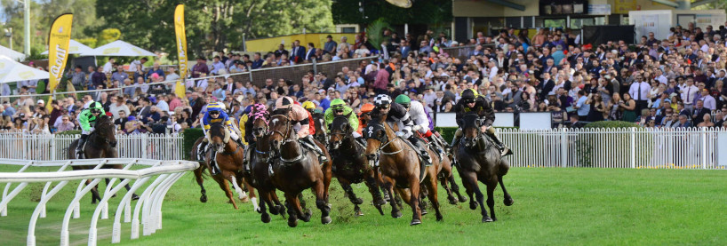 Ipswich Racing Tips