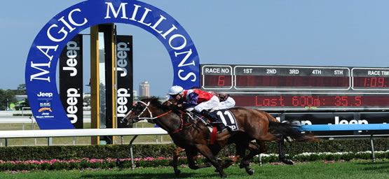 Horse Racing Tips