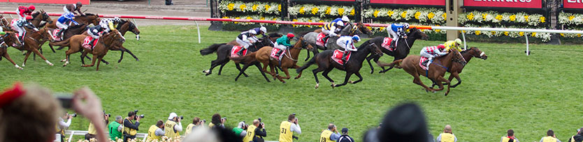 2014 Melbourne Cup