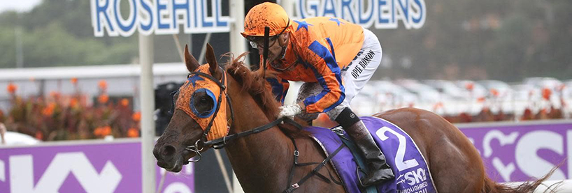 Rosehill Racing Tips Saturday August 8th