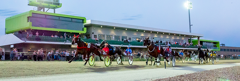Harness Racing Tips