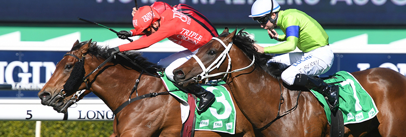 Horse Racing Tips