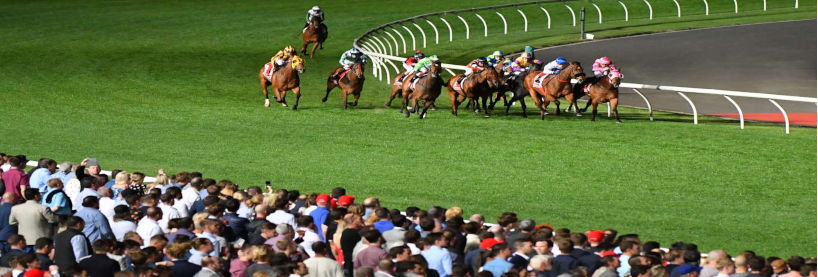 Moonee Valley Tips