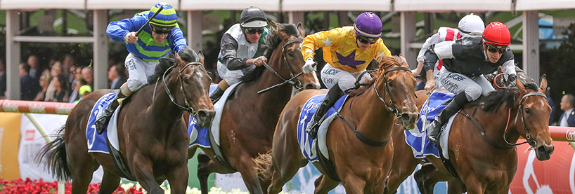 Moonee Valley Racing Tips Saturday August 1st