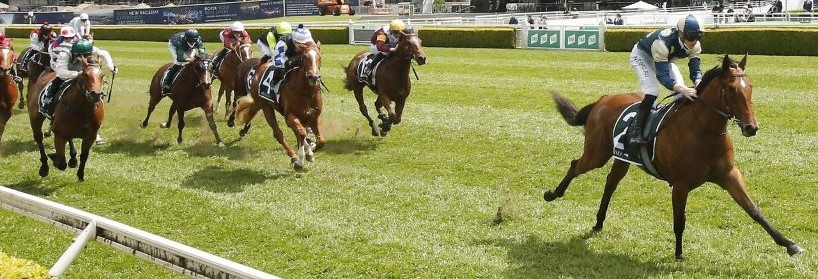 Mooney Valley Betting Tips