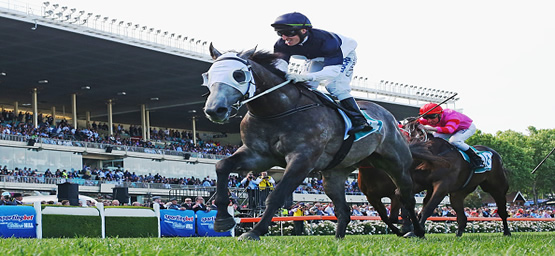 Horse Racing Tips