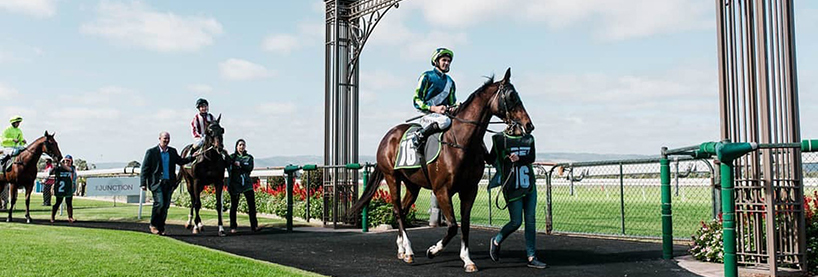 Horse Racing Tips
