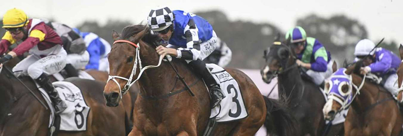 Rosehill Racing Tips Saturday August 29th