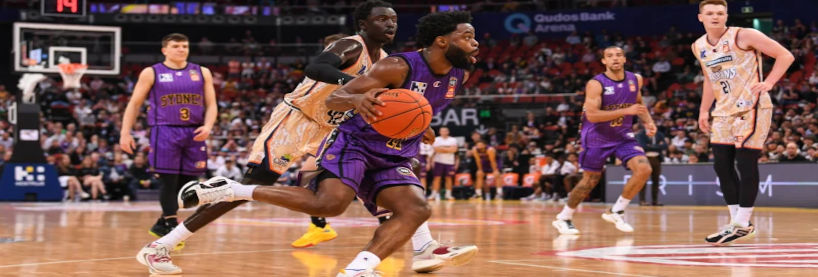 NBL Kings vs Taipans Preview