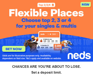 Neds