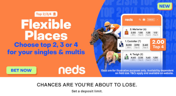 Neds