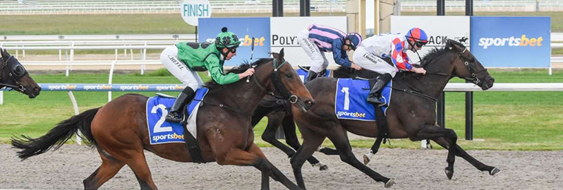 Horse Racing Tips