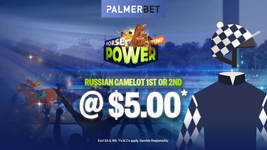 Russian Camelot Palmerbet