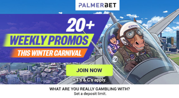 Palmerbet