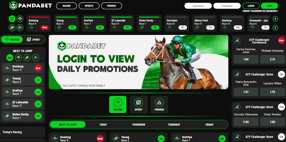 PandaBet website