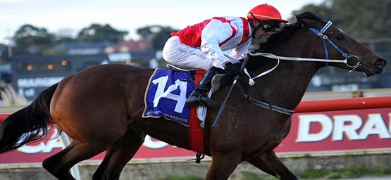 Horse Racing Tips