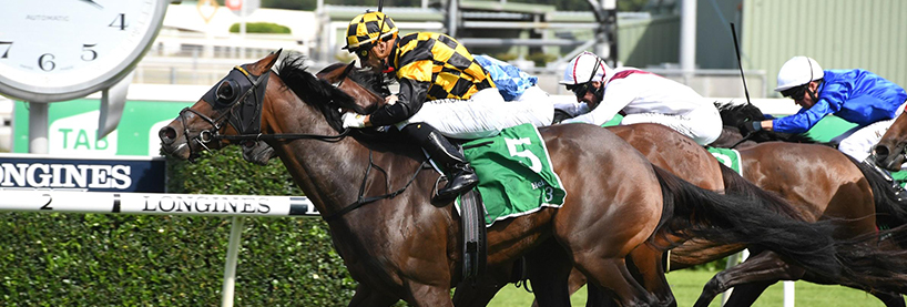 Horse Racing Tips