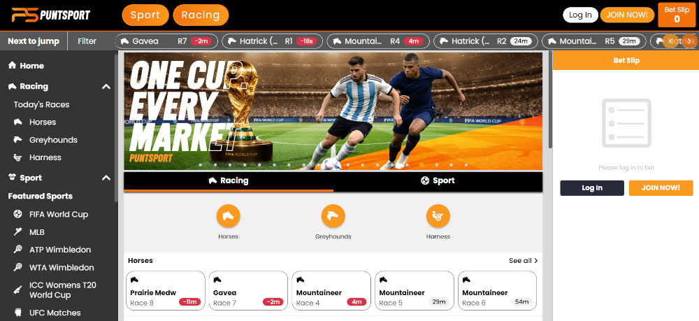 PuntSport website