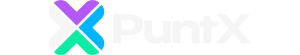 PuntX