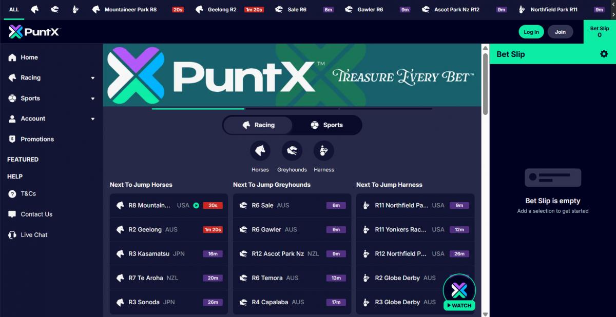 PuntX website