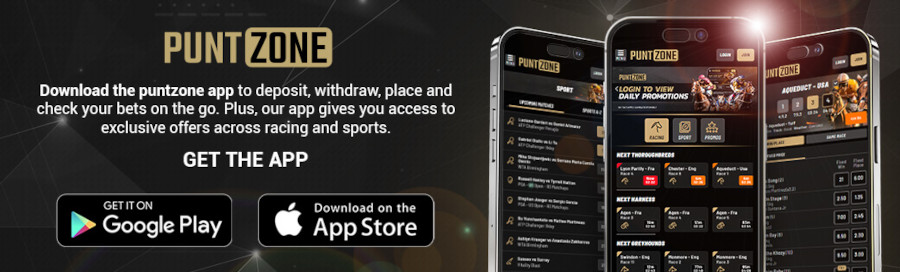 PuntZone mobile app