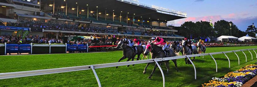 Mooney Valley Betting Tips