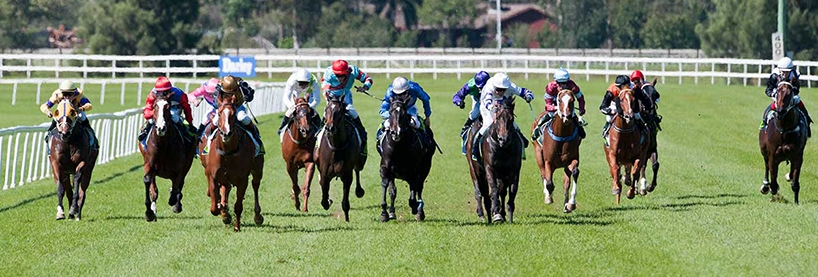 Today's Best Bets Horse Racing