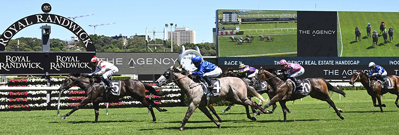 Australian Horse Racing Tips Saturday February 13th