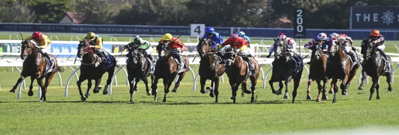 Randwick Racing Tips
