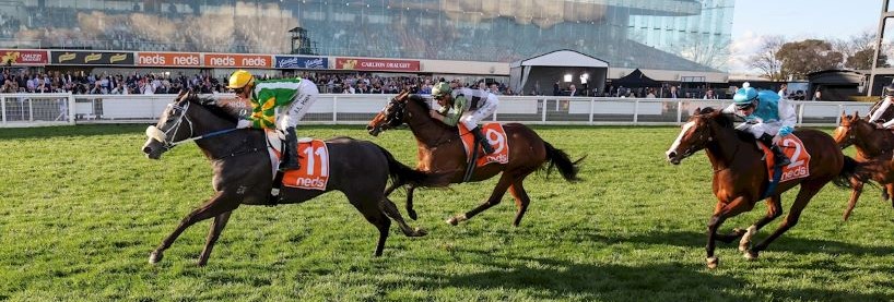 Randwick Betting Tips