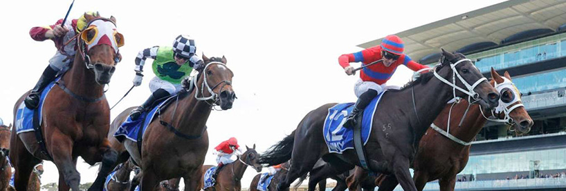 Randwick Racing Tips Saturday September 19th