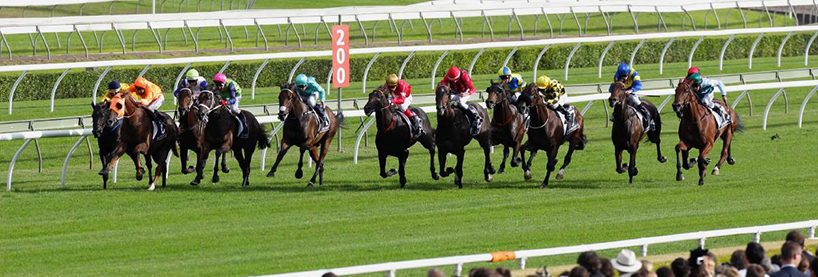 Randwick Racing Tips Saturday August 1st