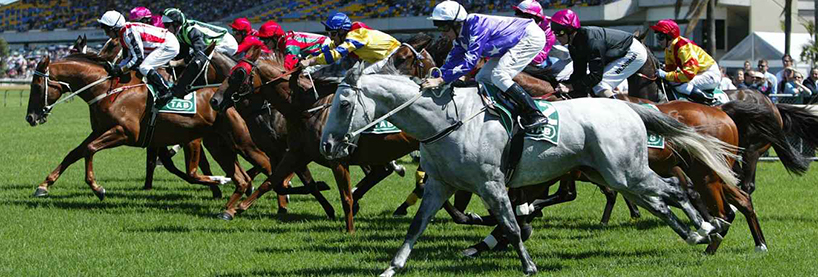 Horse Racing Tips