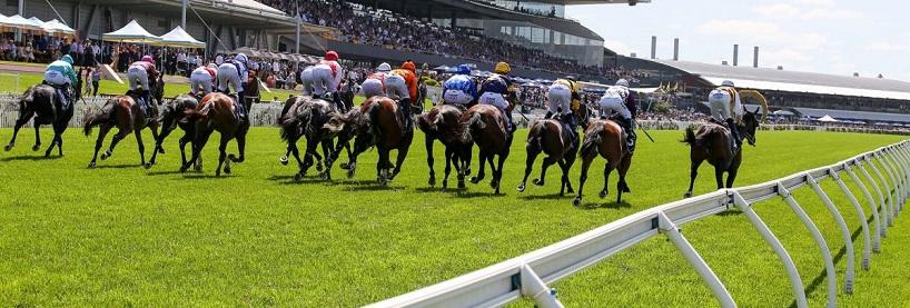 Rosehill Racing Tips