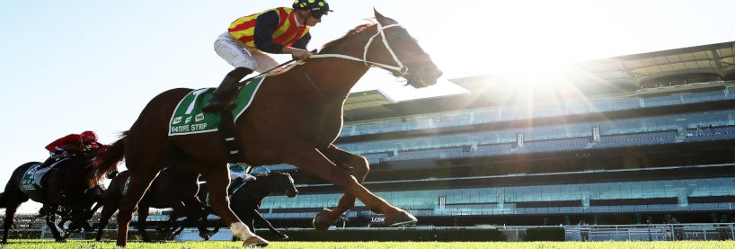 Royal Ascot Nature Strip