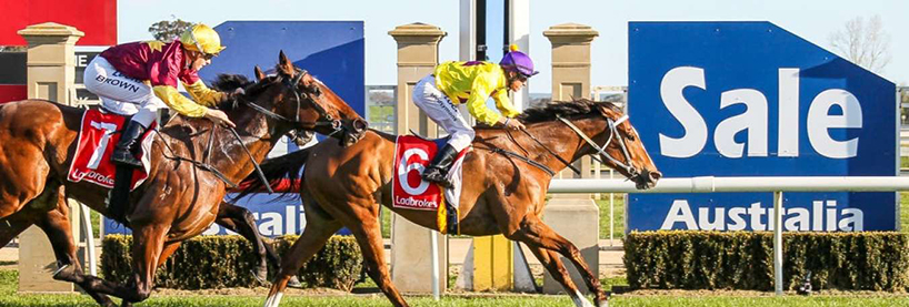 Horse Racing Tips