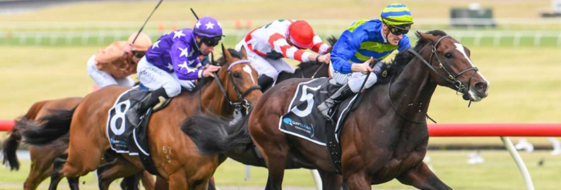 Australian Horse Racing Tips Wednesday December 9th