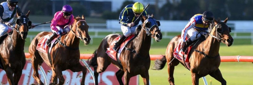 Horse Racing Tips