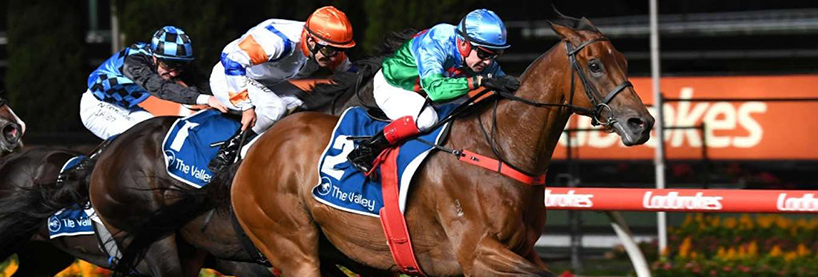 Horse Racing Tips