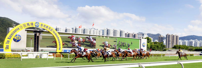 Sha Tin Racing Tips