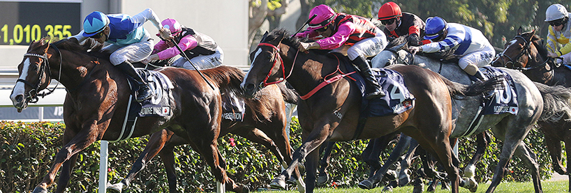 Horse Racing Tips