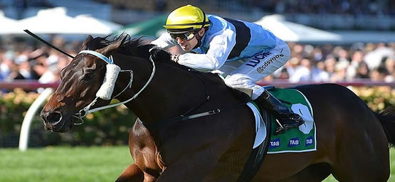 Horse Racing Tips