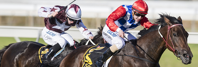 Horse Racing Tips
