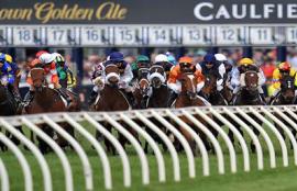 Caulfield Cup tips